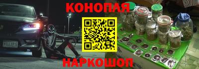 Альфа ПВП Обь