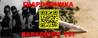 Альфа ПВП Обь
