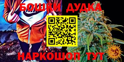 Альфа ПВП Обь