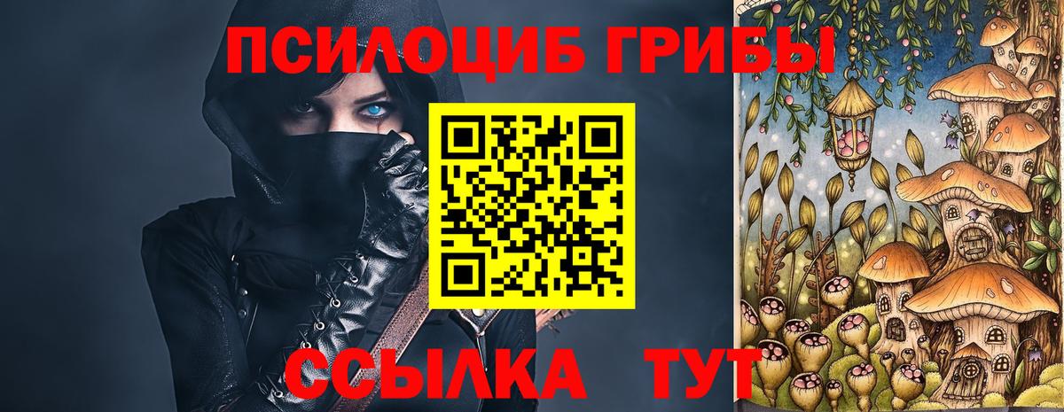 Галлюциногенные грибы Psilocybine cubensis Семёнов